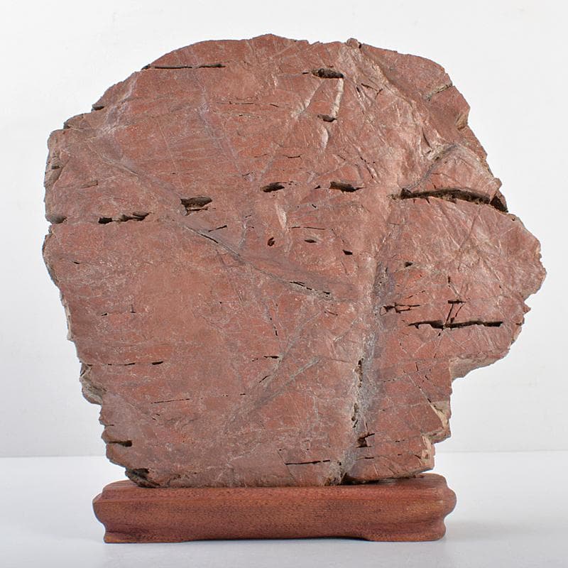 鑑賞石　天然石　紅石　赤玉石　唐木台付　黄檗山主慈光通照箱書　M　R5564