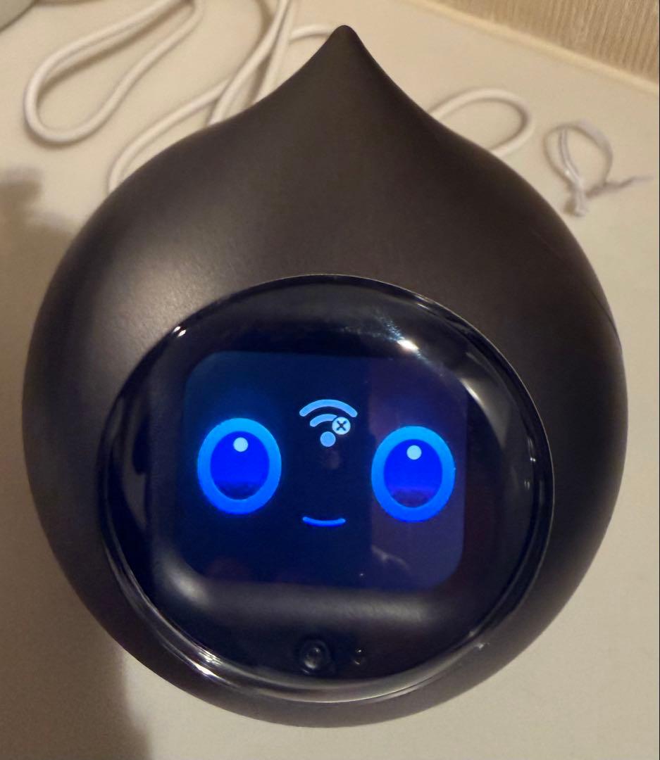 Romi ロミィ Lacatanモデル ムーングレー