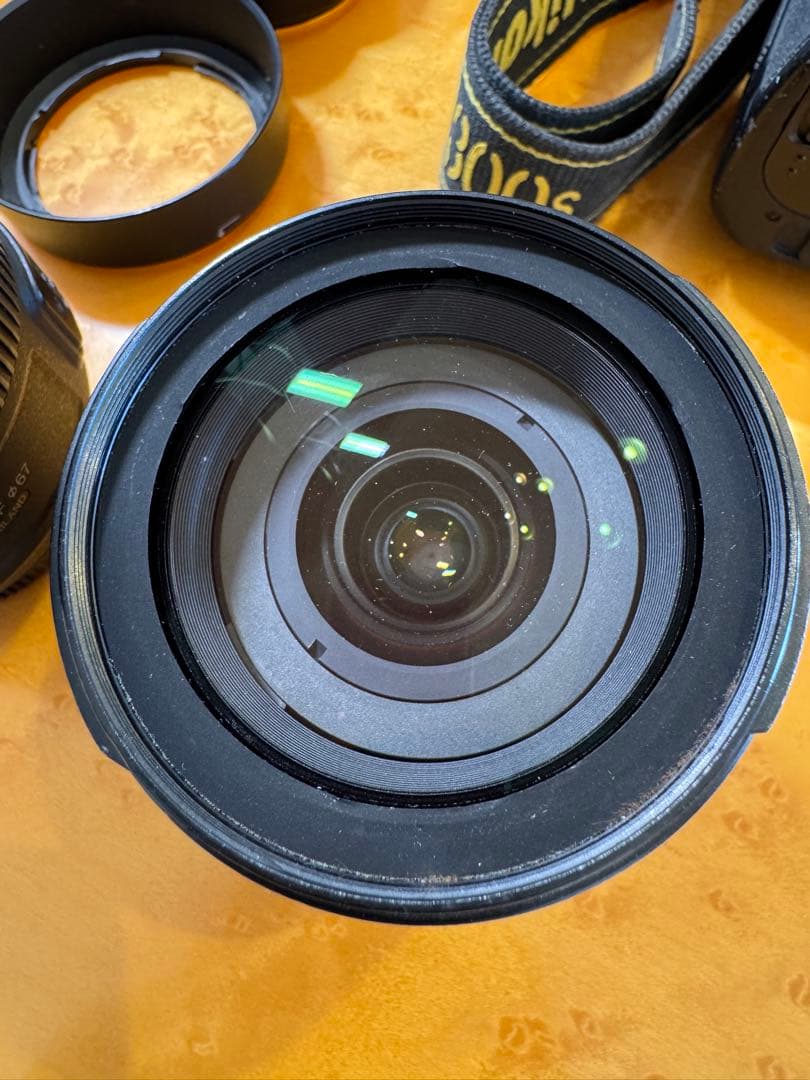 Nikon D300S デジタル一眼レフカメラセット※再掲