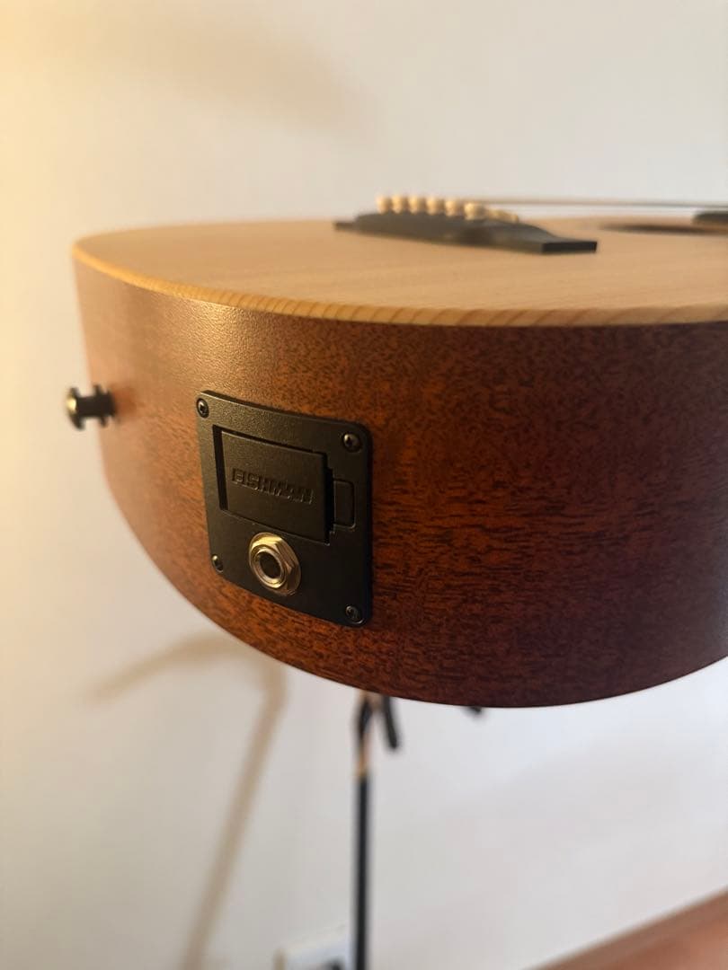 Martin & Co. エレアコ LX1E