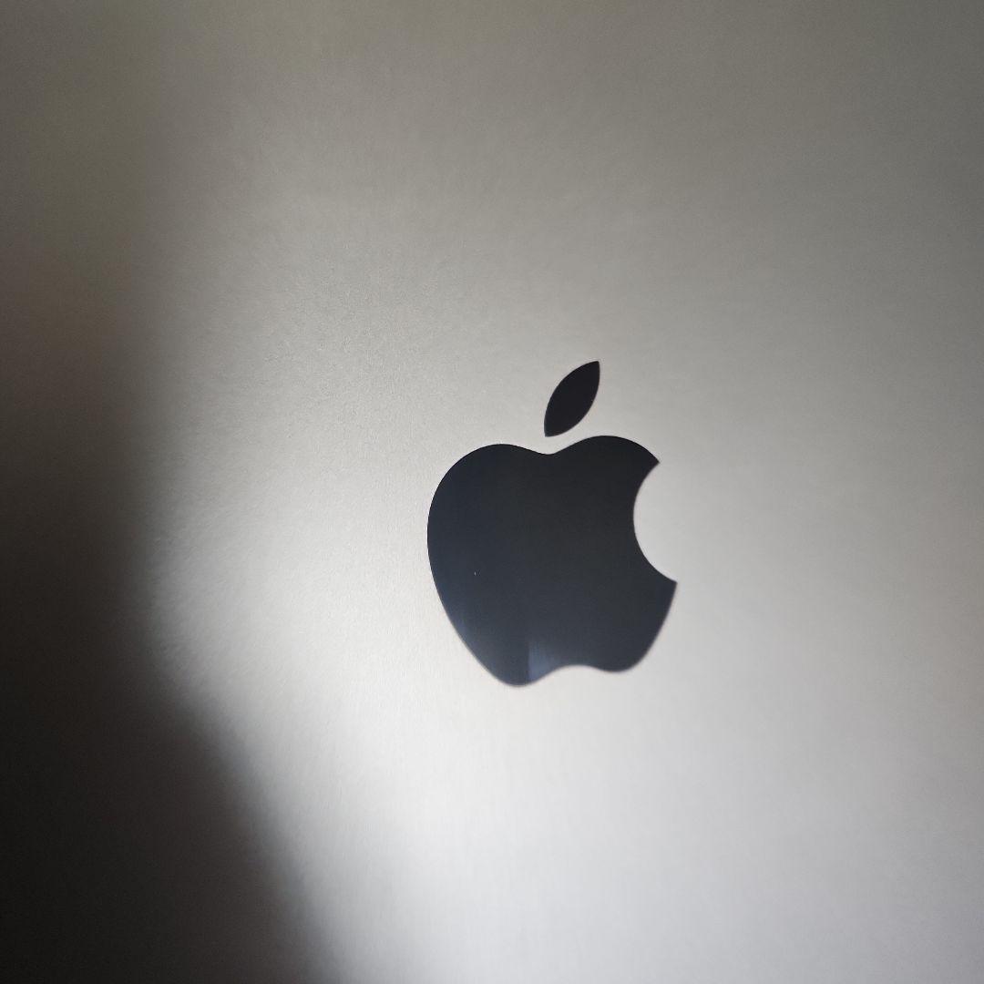 【注意点あり】iPad Pro 11インチ (第3世代) 256GBセルラー