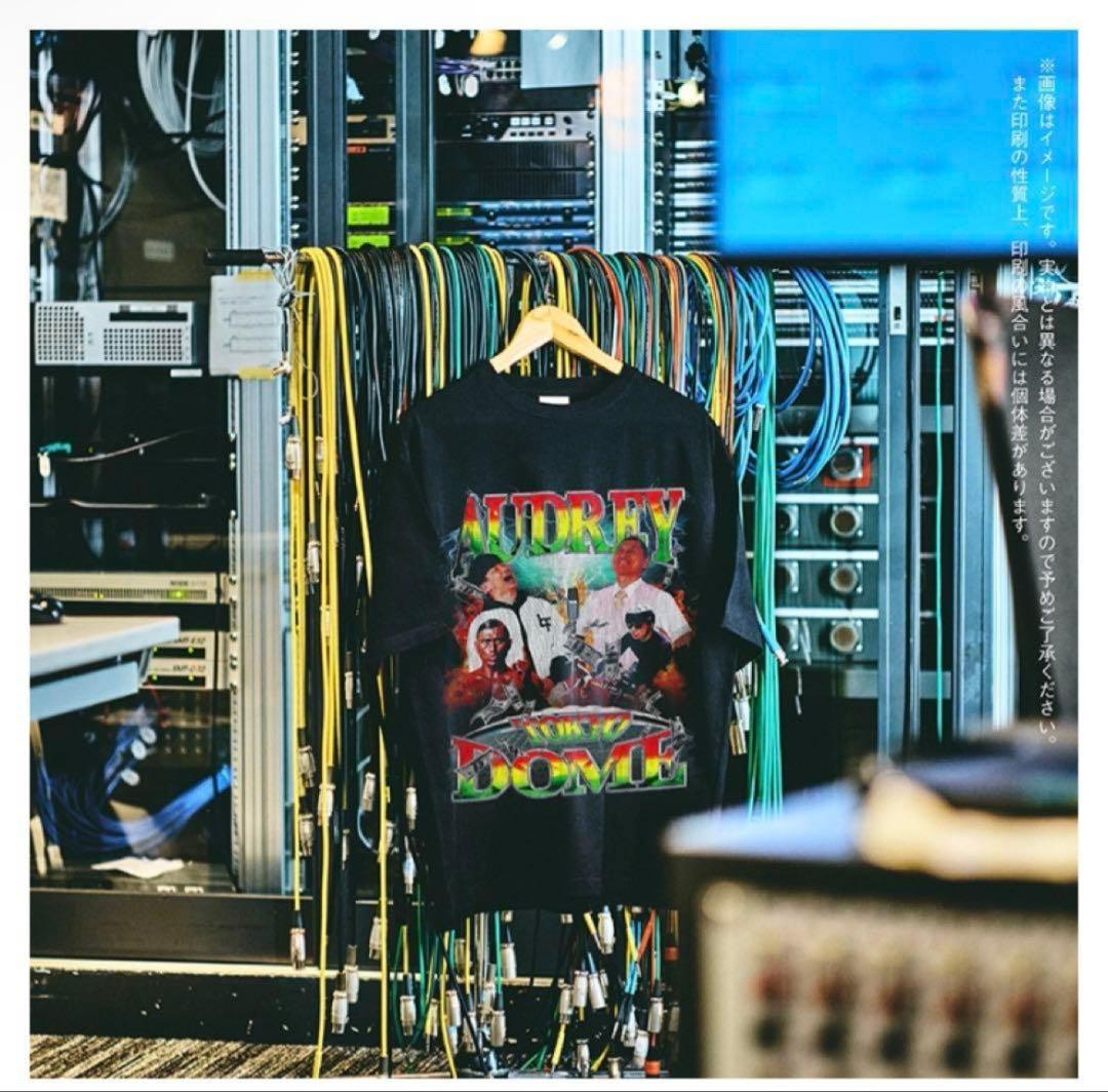 オードリーのオールナイトニッポン in 東京ドーム　ビックシルエットTシャツ　L