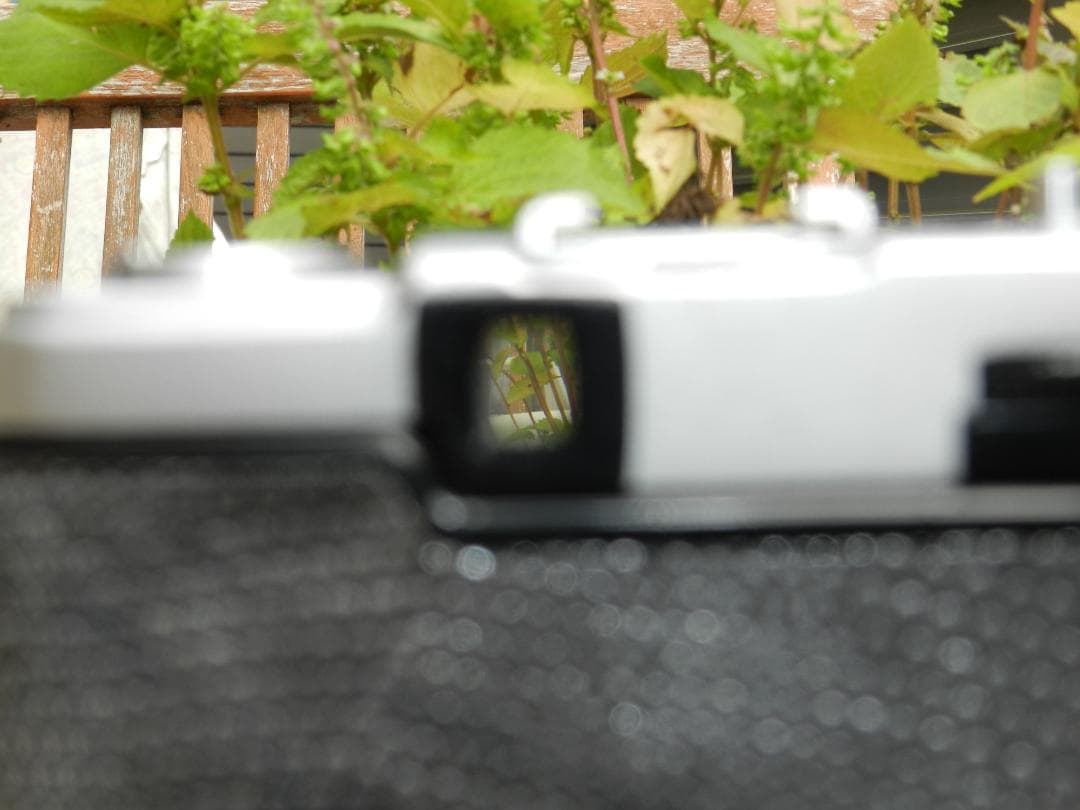 クロコ風　OLYMPUS PEN EE-3 ハーフフィルムカメラ　即撮影可