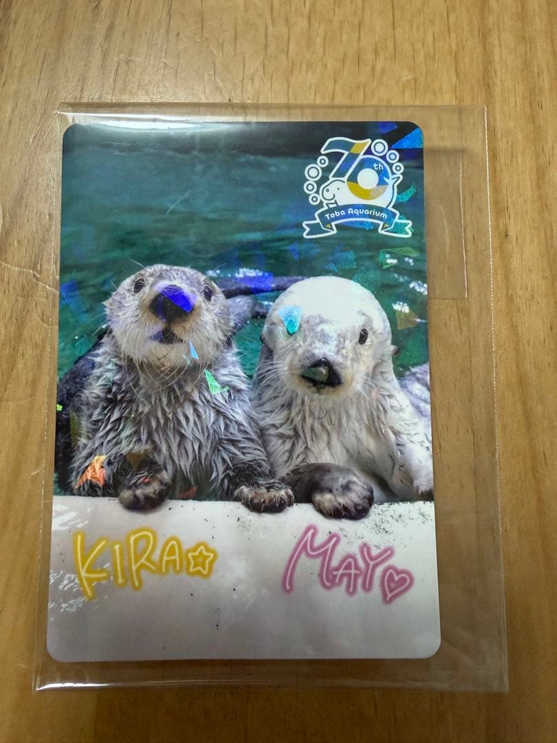 鳥羽水族館　コレクションカード　ラッコ　キラ　メイ