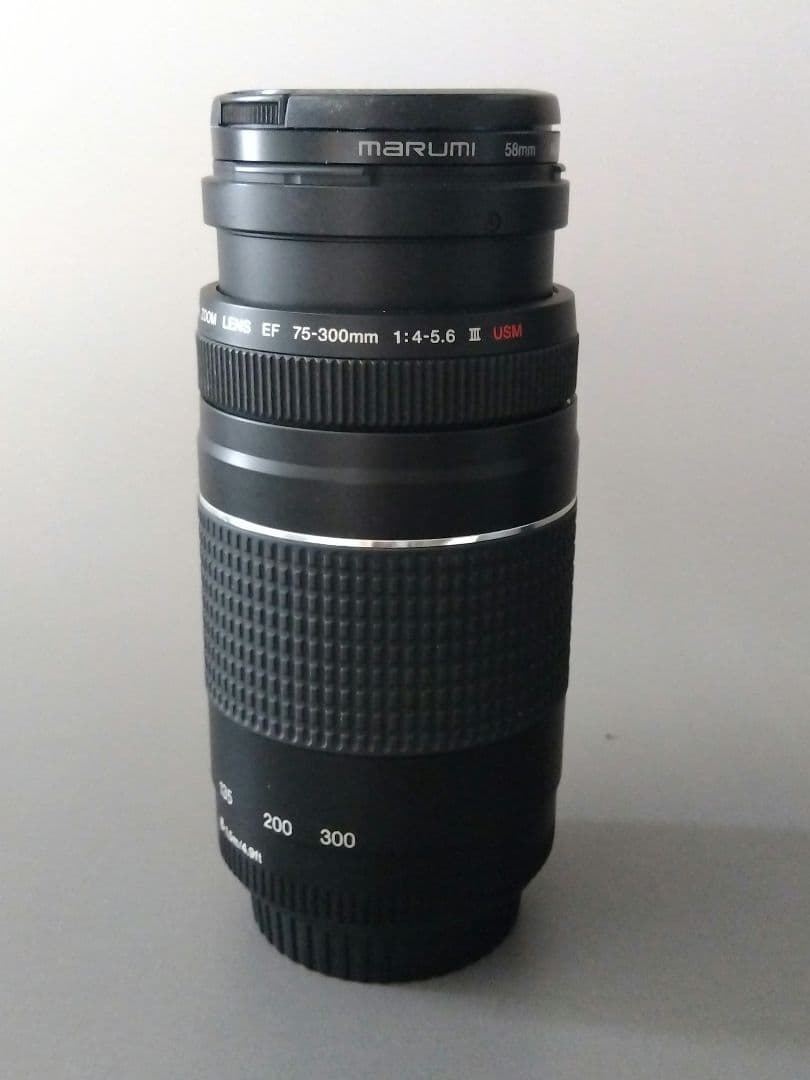 Canon EFレンズ2本（28-80/75-300mm）＋バッグ＋フィルター付