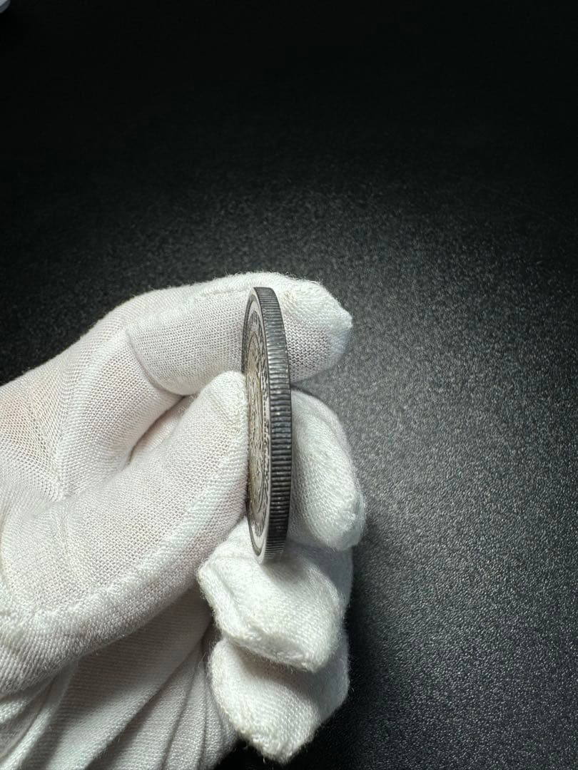 貿易銀　明治十年　菊紋・竜　一圓銀貨　測定の写真を追加できます