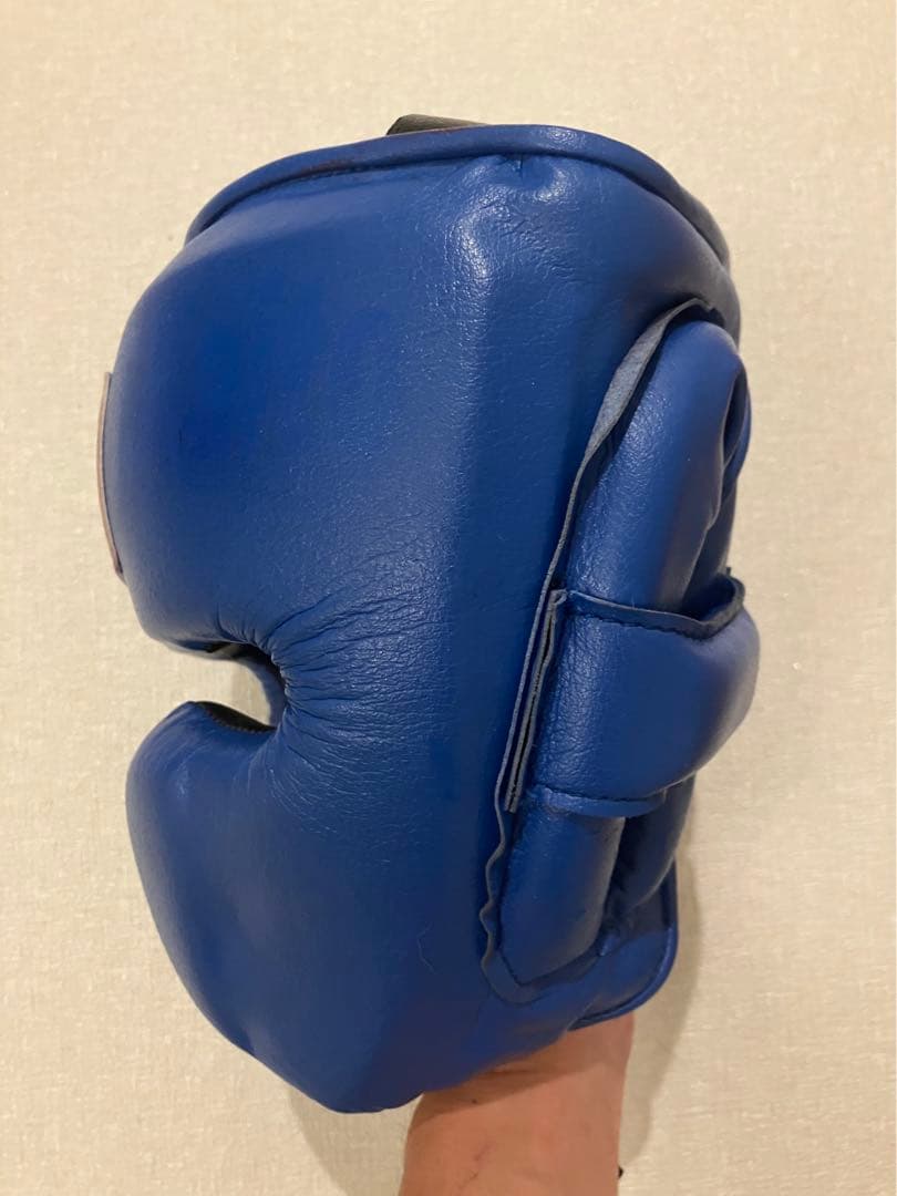 Winning ヘッドギア フルフェイスタイプ ブルー M FG-2900