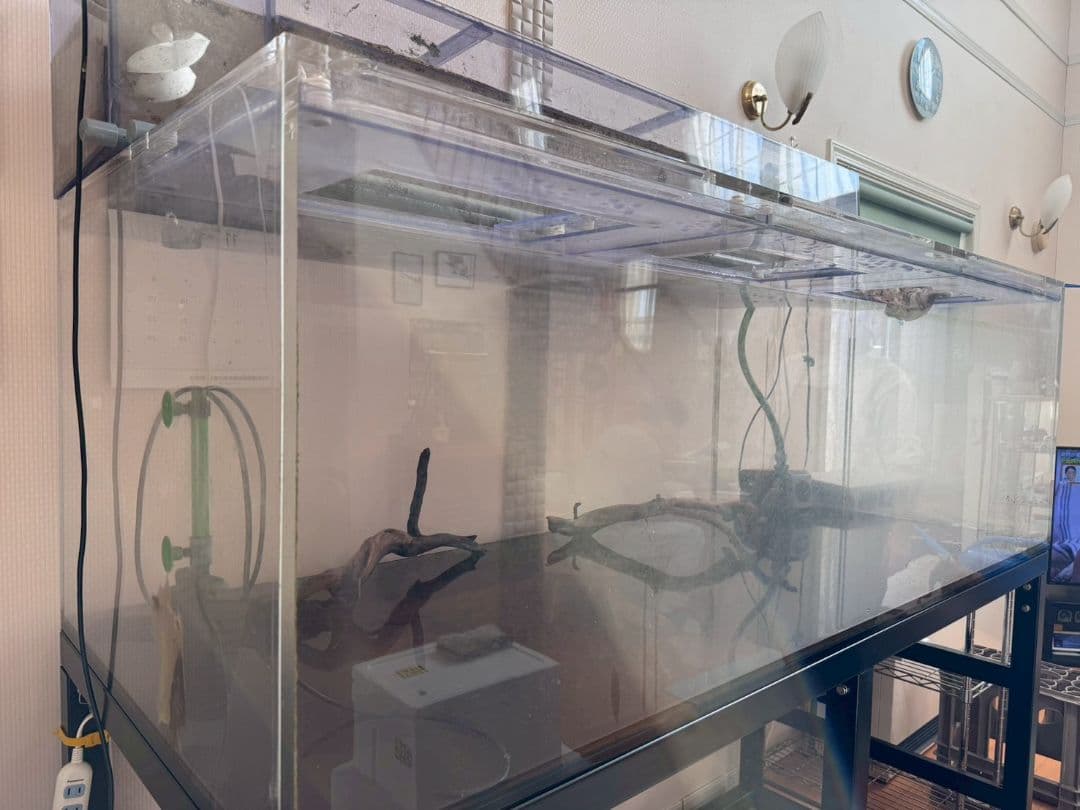 最終出品！1800×750×600アクリル水槽&上部フィルター&水槽台