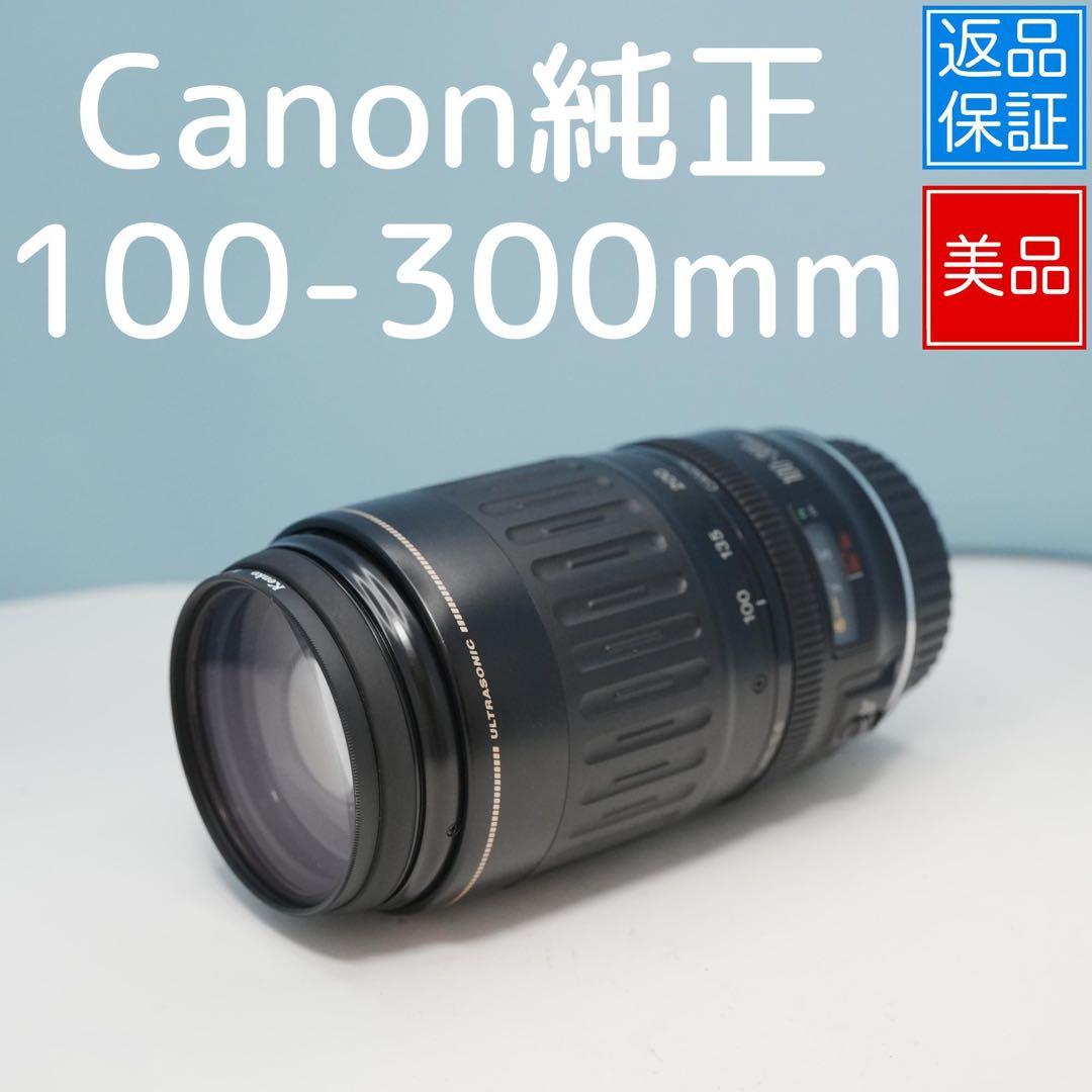 Canon純正 100-300mm 望遠レンズ 美品 a4644
