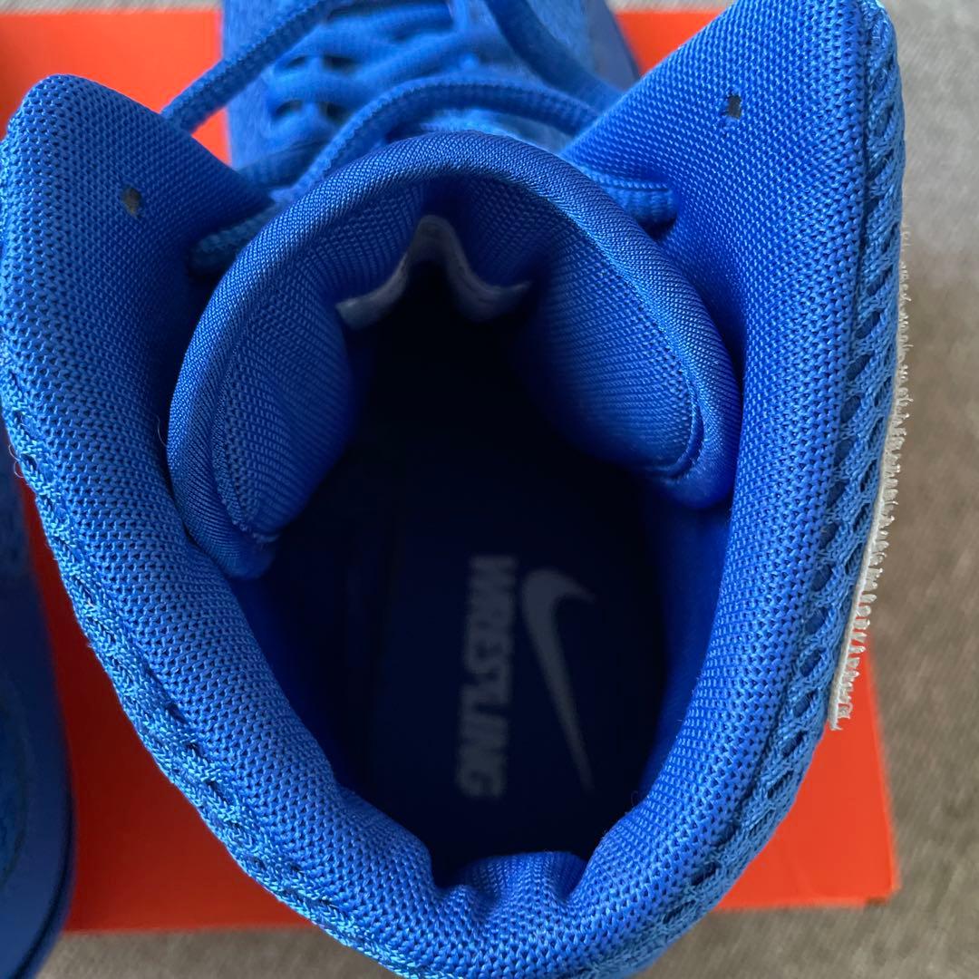 ナイキ・インフリクト [ブルー/シルバー］ 青 ハイカット28.0cm