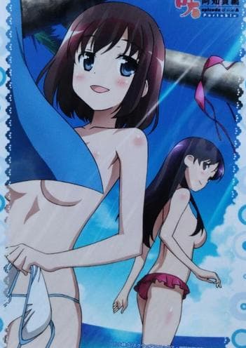 咲 Saki 阿知賀編 PSPソフト アニメイト 特典 ブロマイド