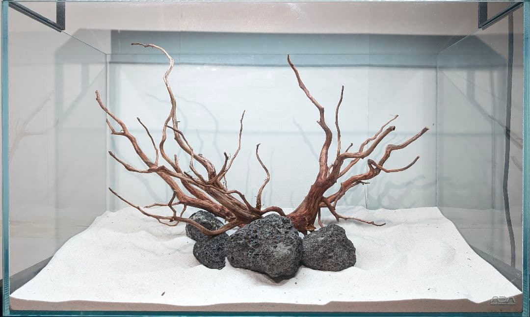 レイアウトセット【LSB016】 スマトラブランチウッド 水槽 まとめ買い対応