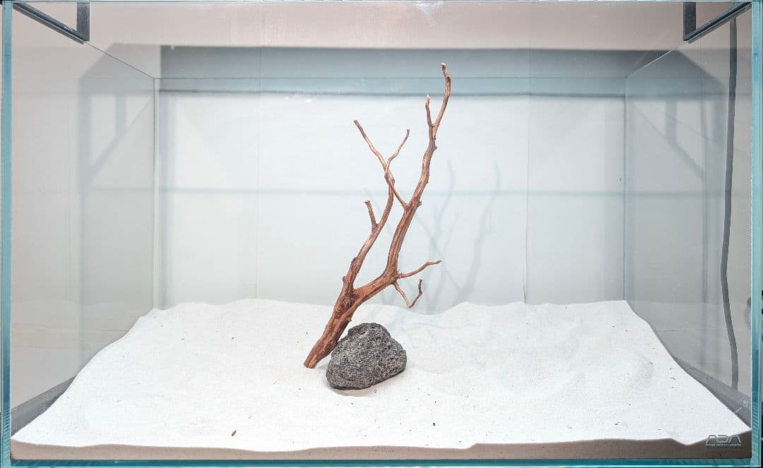 レイアウトセット【LSB016】 スマトラブランチウッド 水槽 まとめ買い対応