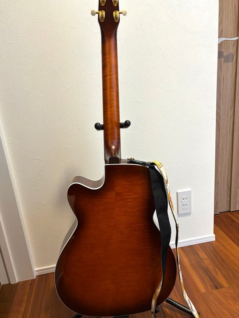 Seagull エレアコ サンバースト