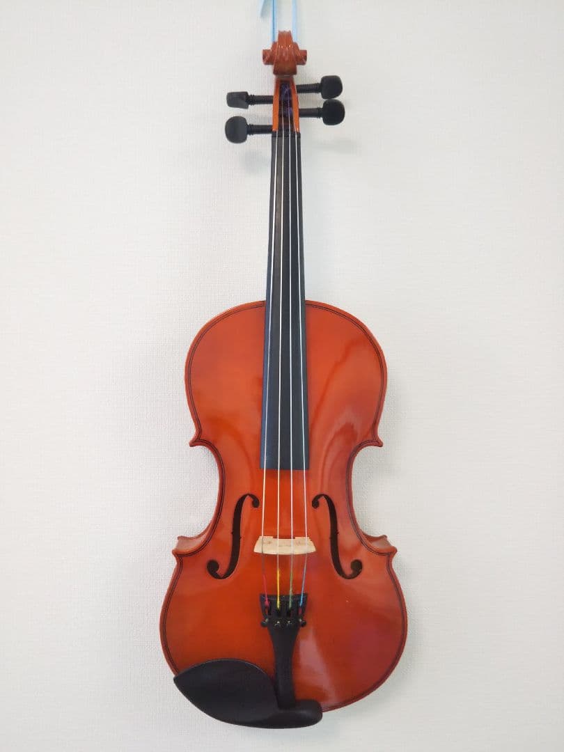 ビオラ 40cm