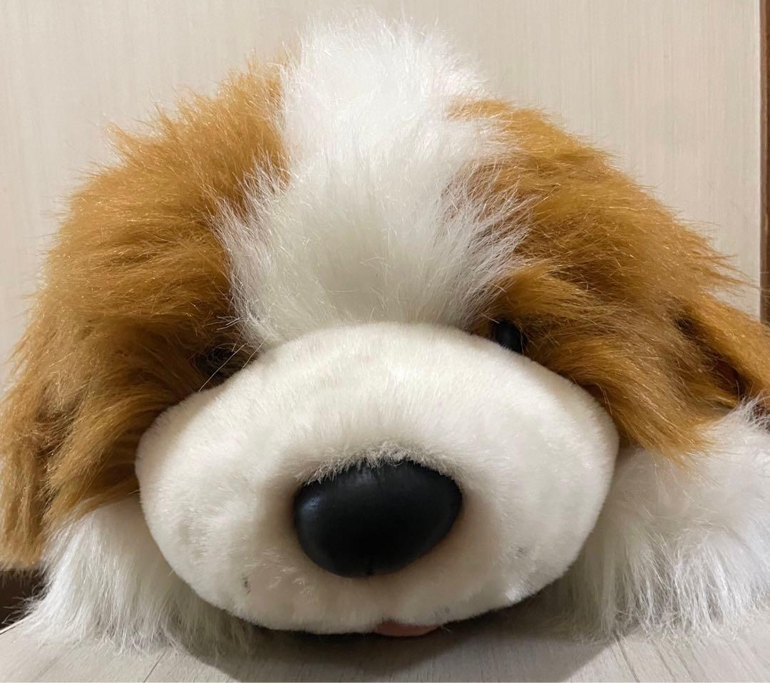 特大　セントバーナード　WARABE 激レア　レトロ