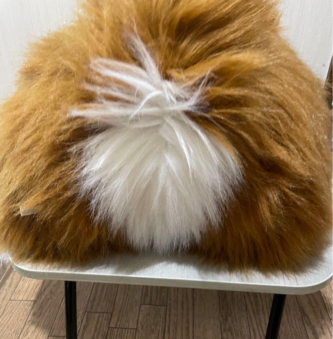 特大　セントバーナード　WARABE 激レア　レトロ