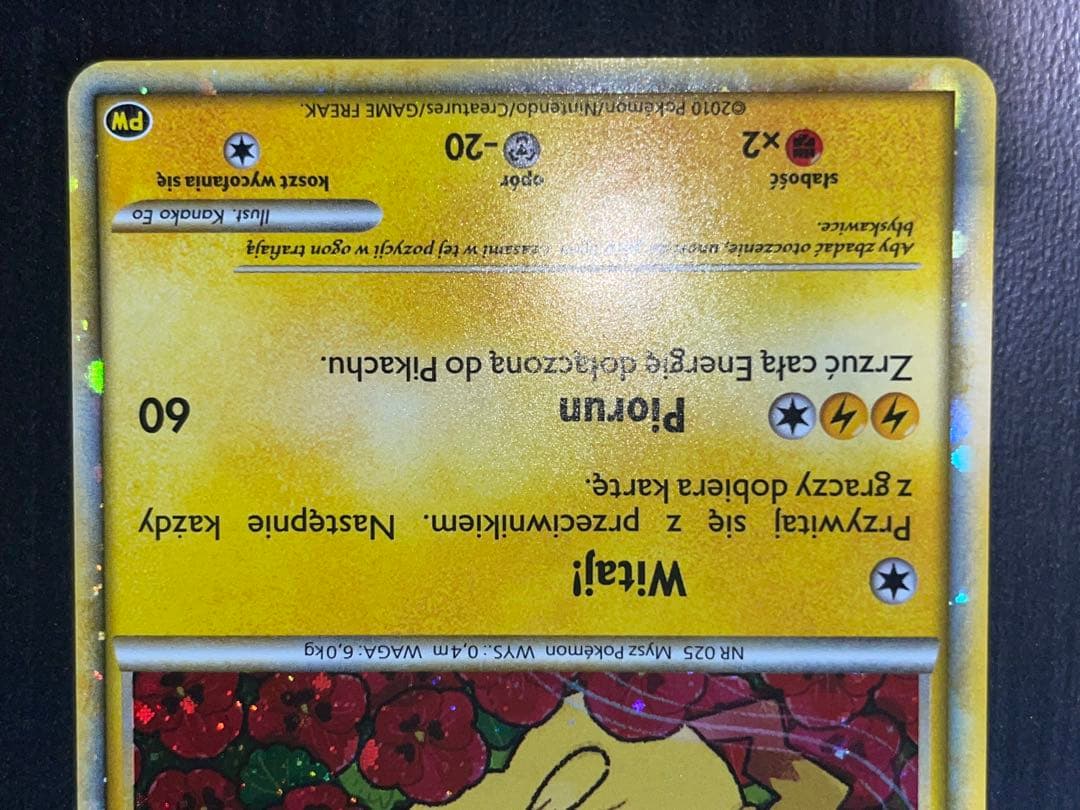 ピカチュウワールド　ポーランド