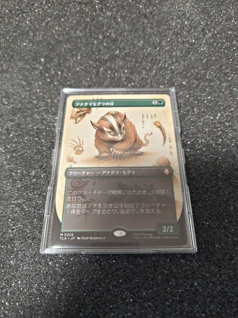 MTG アナグマモグラの仔/Badgermole Cub ボーダーレス TLA