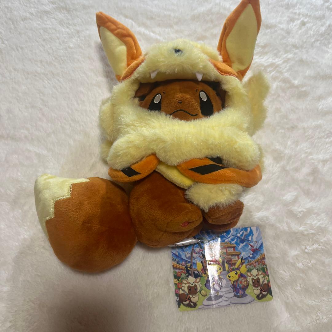 ウィンディポンチョのイーブイぬいぐるみ　沖縄限定　ポケモンセンター