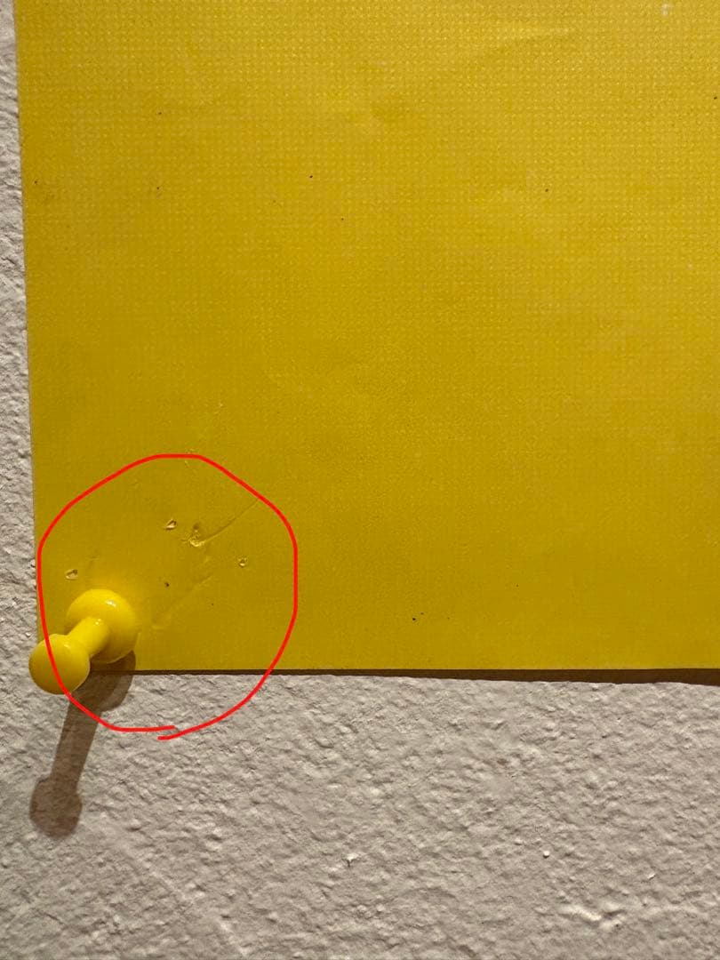 レイモン・サヴィニャック / わんぱく戦争 オリジナルポスター