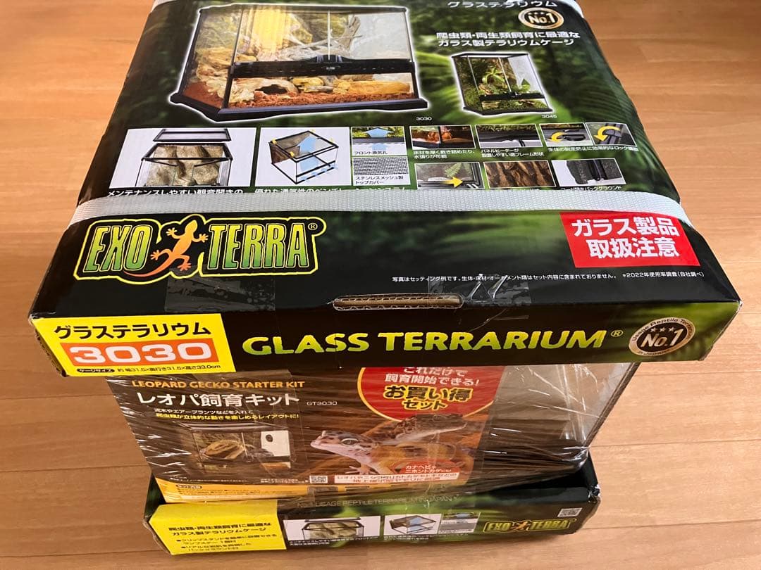 ホ*ナ様 レオパ飼育キット GT3030　【爬虫類初心者にもオススメ】