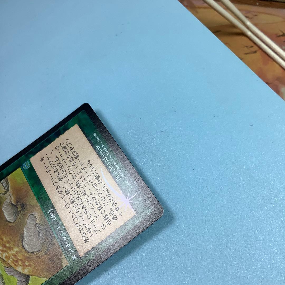 食物連鎖/Food Chain MMQ日本語foil