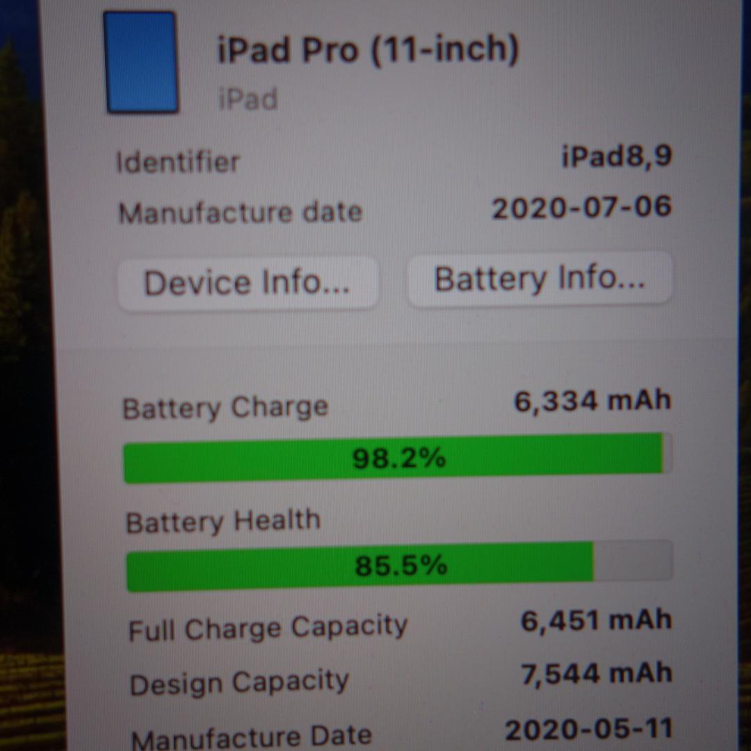 287）iPad PRO 11インチ 第2世代 256GB MXDC2J/A