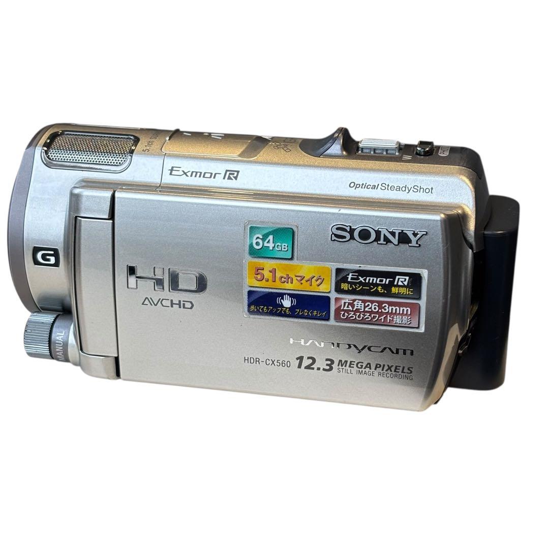 動作確認済 SONY HDR-CX560V ハンディカム ビデオカメラ シルバー