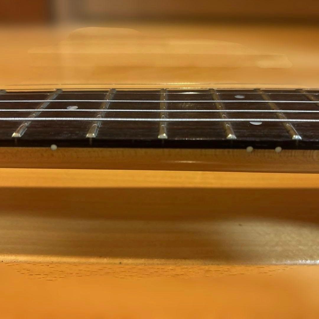 FERNANDES FR-55 GOTOHペグ アーム付 新品弦張替済