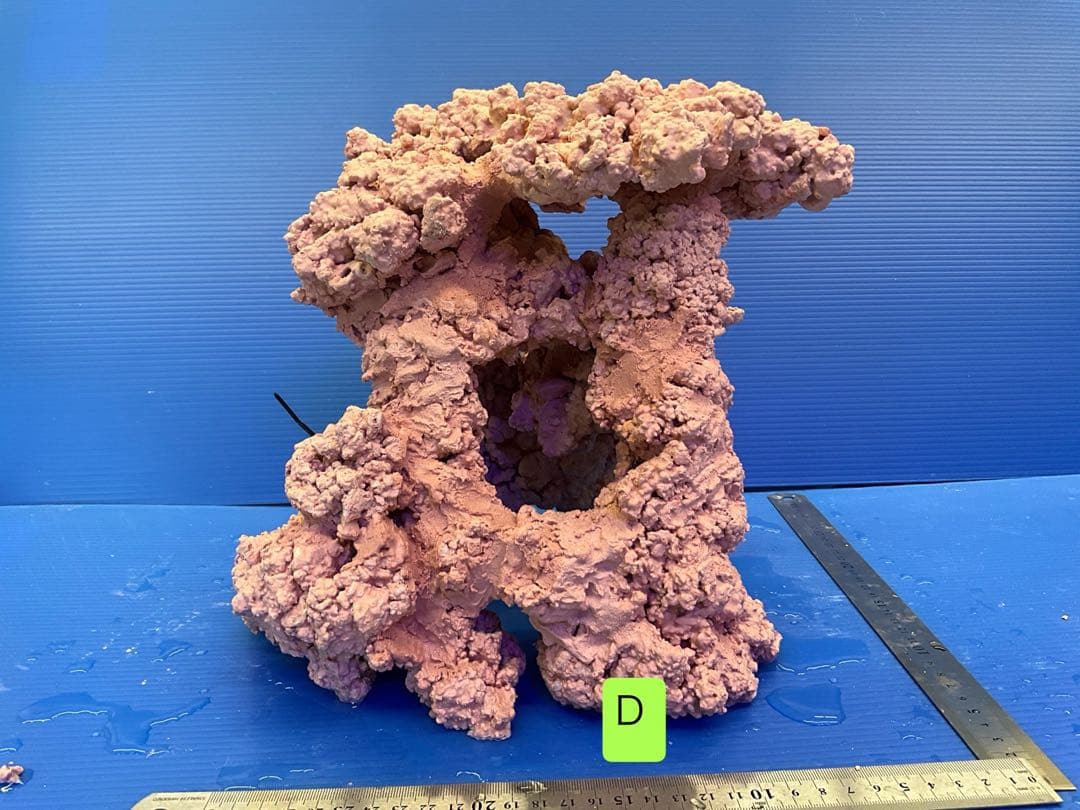 人工ライブロック　No.14 アク抜き済