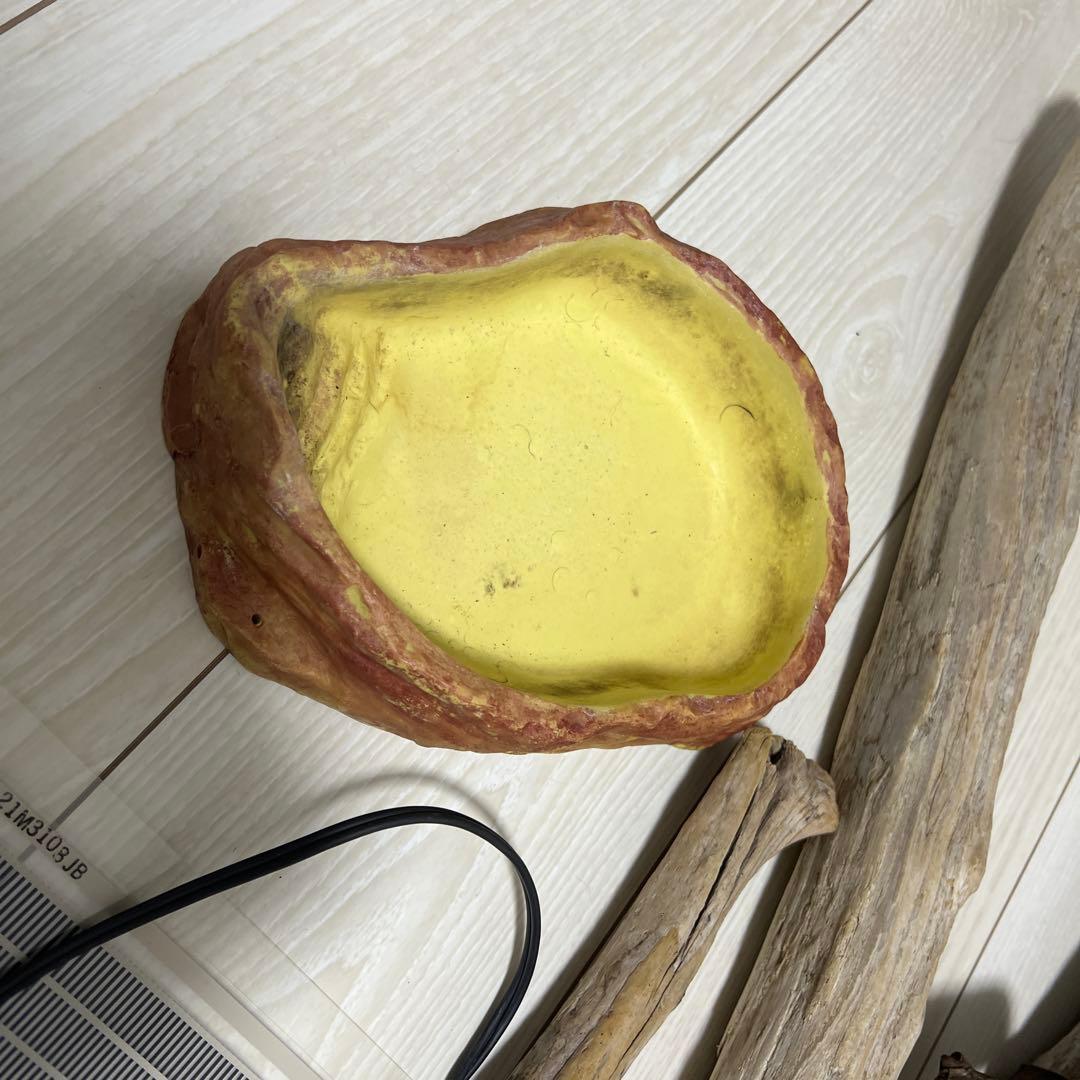 【引き取り限定】グラステラリウム 9060