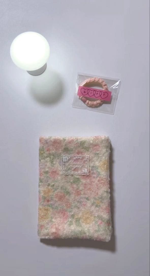 1点のみ 韓国 A6バインダー 現金 貯金 リフィル