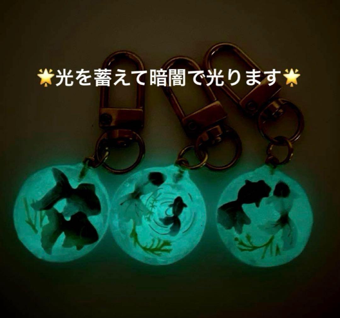 ❤️竜そばです❤️ 暗闇で光る　レジン　チャーム　21点　プレゼント付
