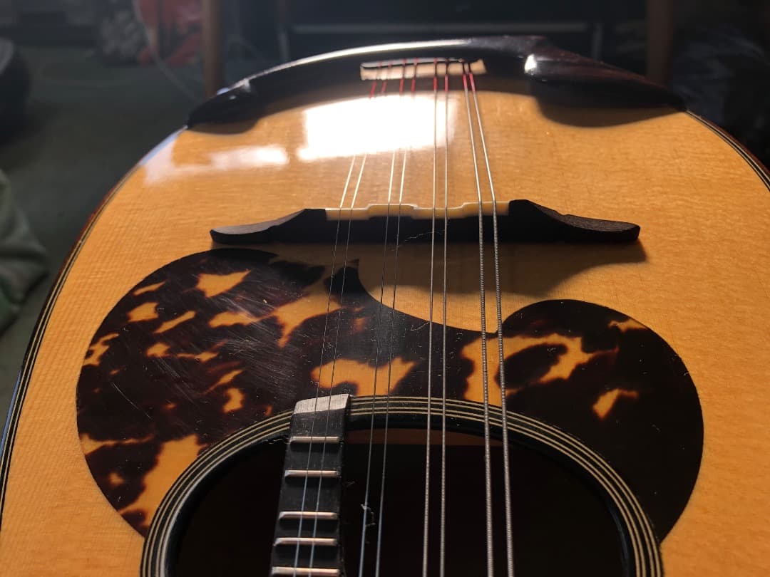 SUZUKI/スズキ M-30 マンドリン 後期型 ネック虎目 超美品