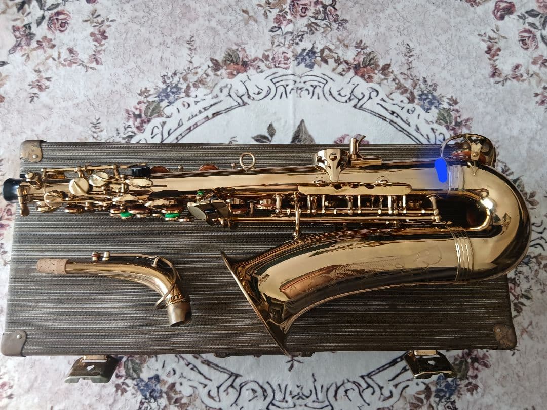 管楽器・吹奏楽器 Buffet Crampon S1