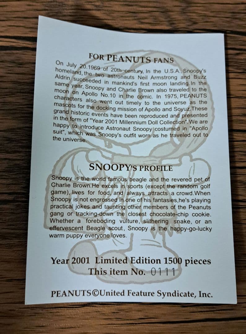 chi レア スヌーピー アストロノート モヘア ドール