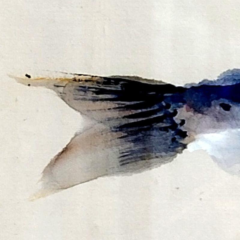 ☆上野山清貢☆　「やまめ」　水彩画　◇帝展特選・北海道新聞社文化賞◇