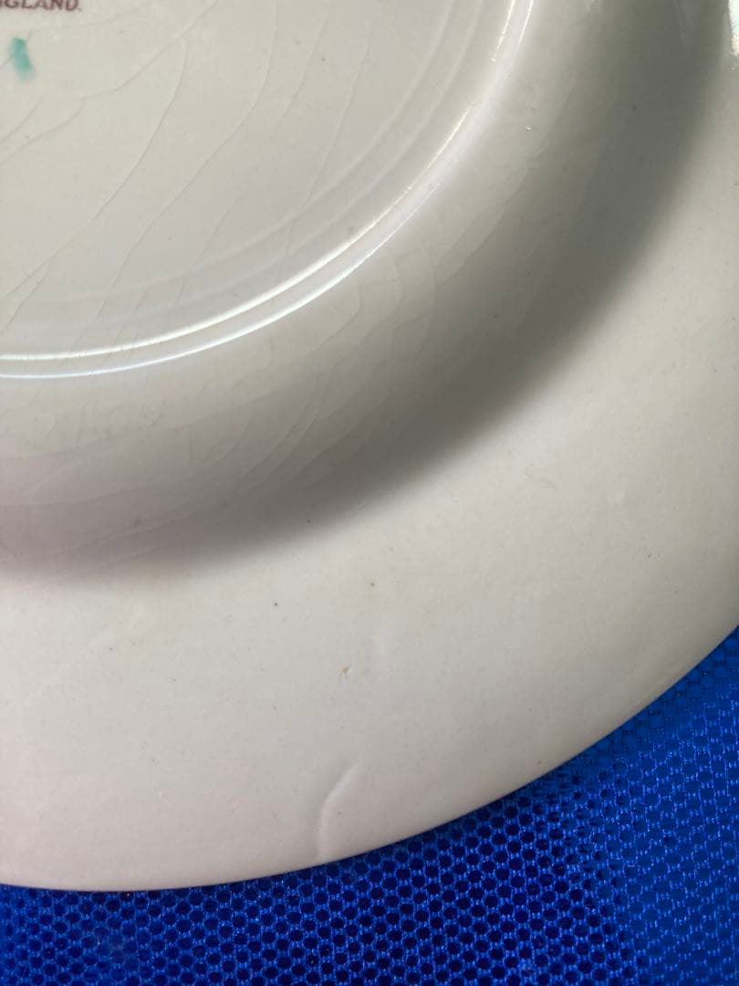 Susie Cooper スージークーパー　ドレスデンスプレイ　プレート　2枚