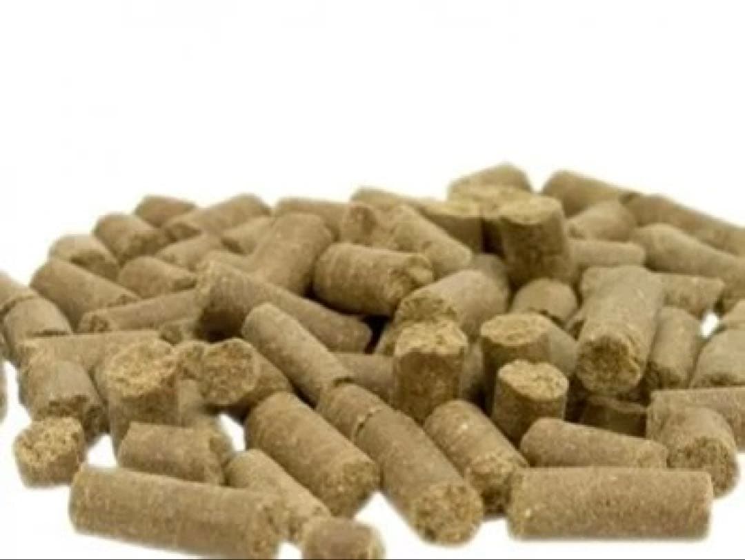 【トライバル フレッシュチキン】　 コールドプレス 12kg