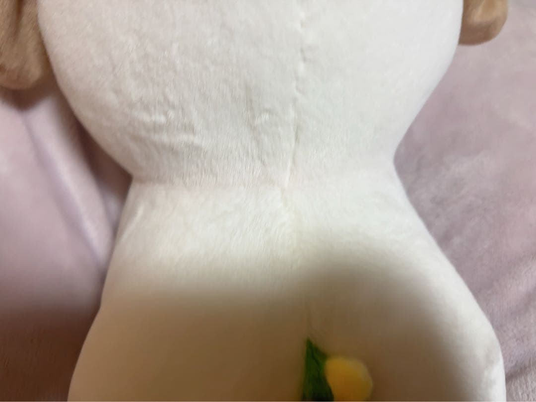 RIIZE アントン モンリョンイ 40cm ぬいぐるみ