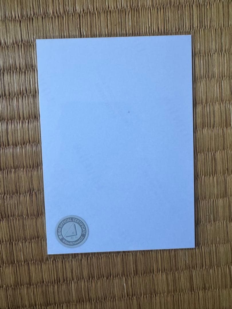 村山美羽 櫻坂46「4th ARENA TOUR 2024」浴衣生写真直筆サイン