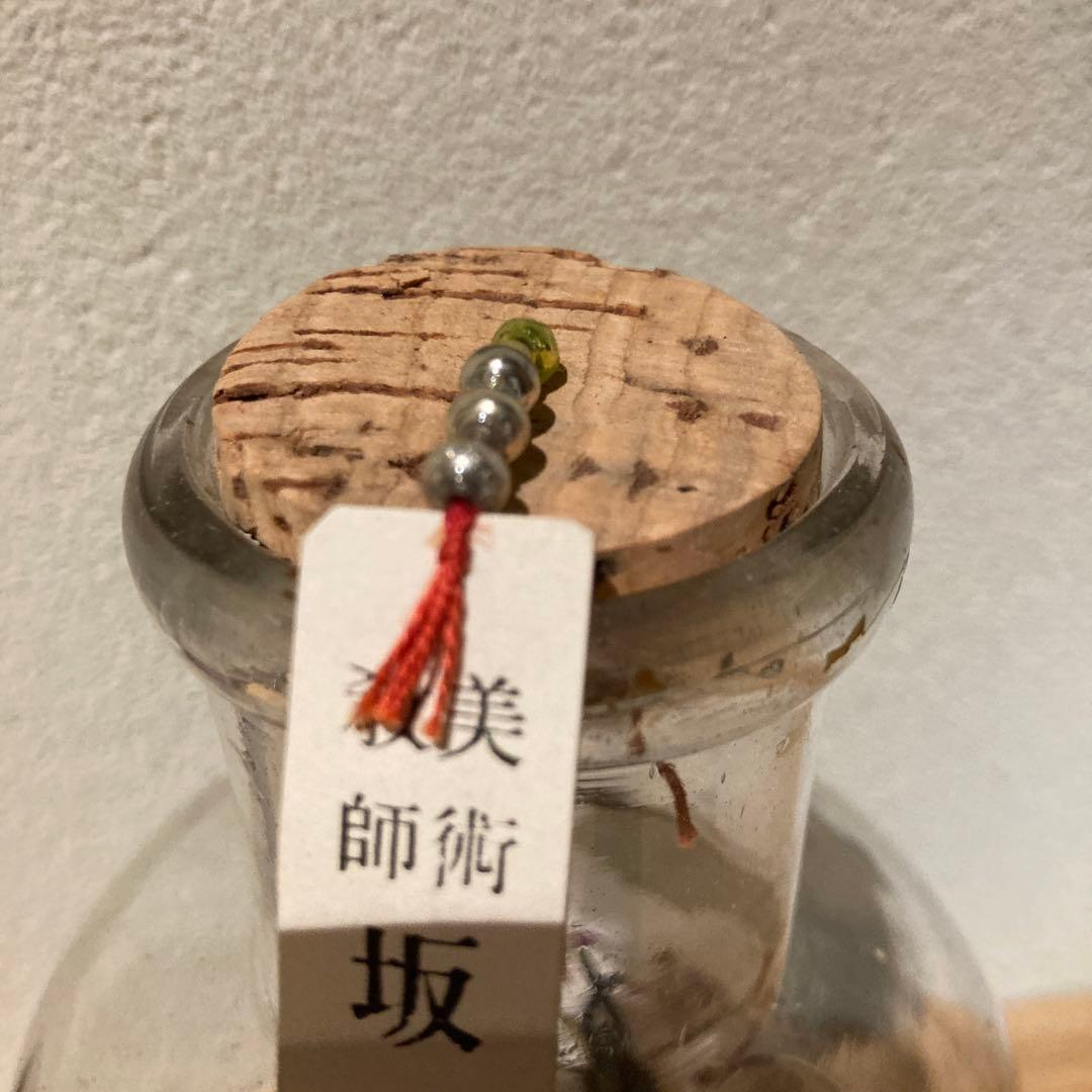 梅の木　瓶細工