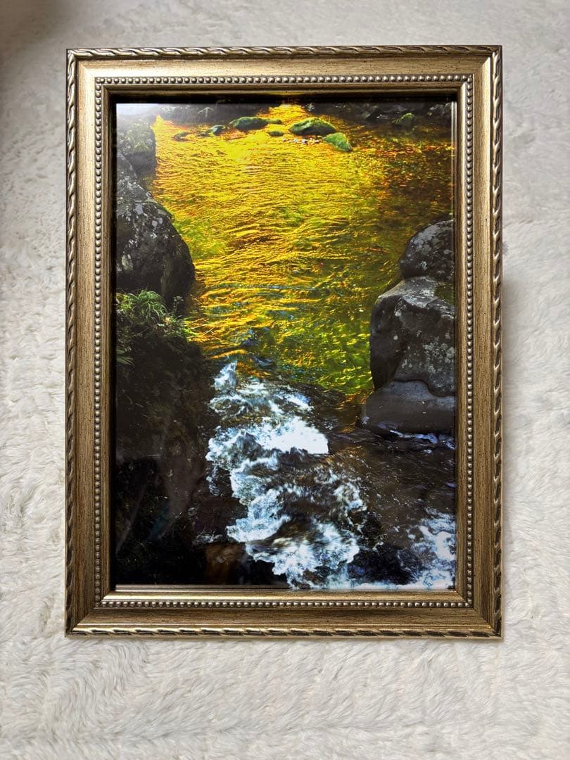 幸せを呼ぶ金色の水面❣️ 高田進先生（美術文化協会員）　自然風景写真　金運アップ