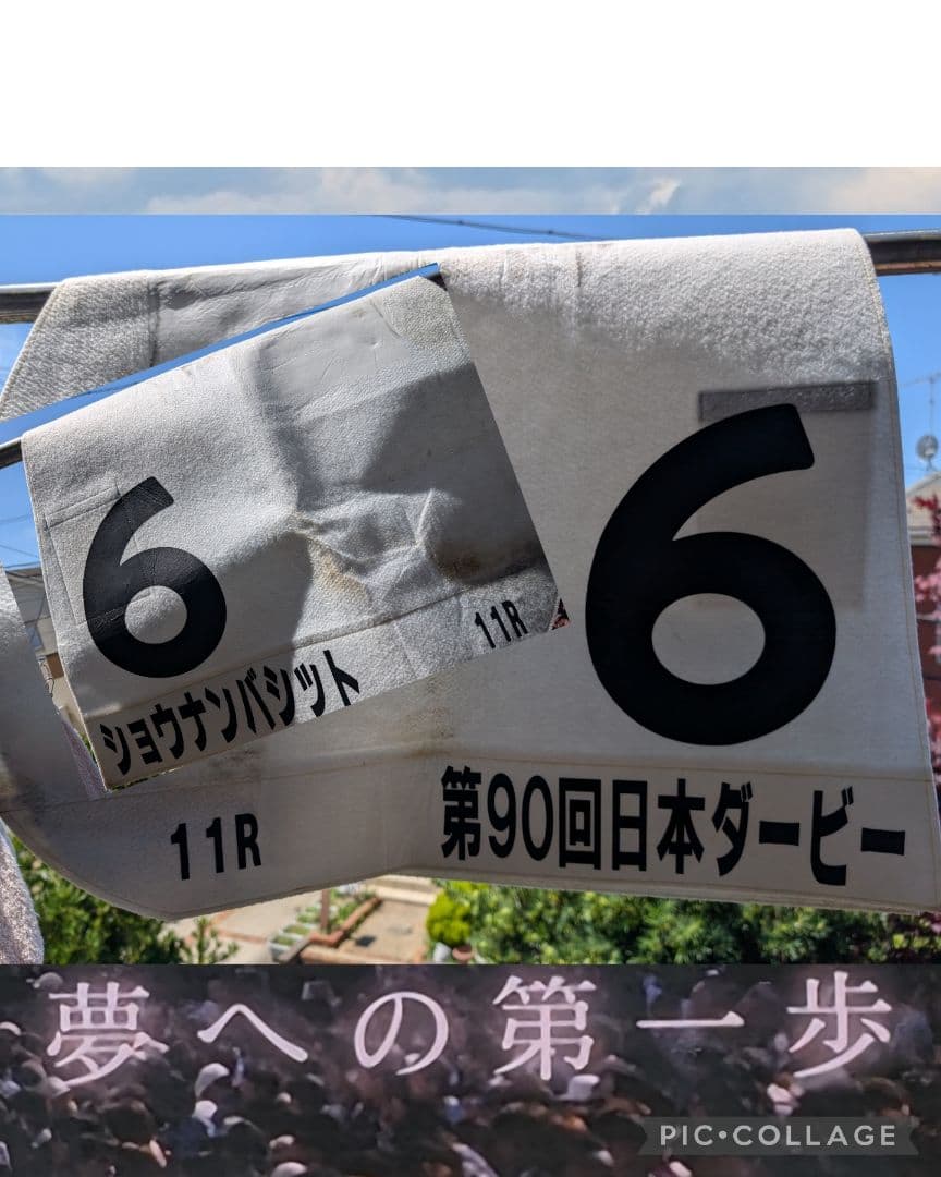 【第90回日本ダービー実使用ゼッケン】　ショウナンバシット号
