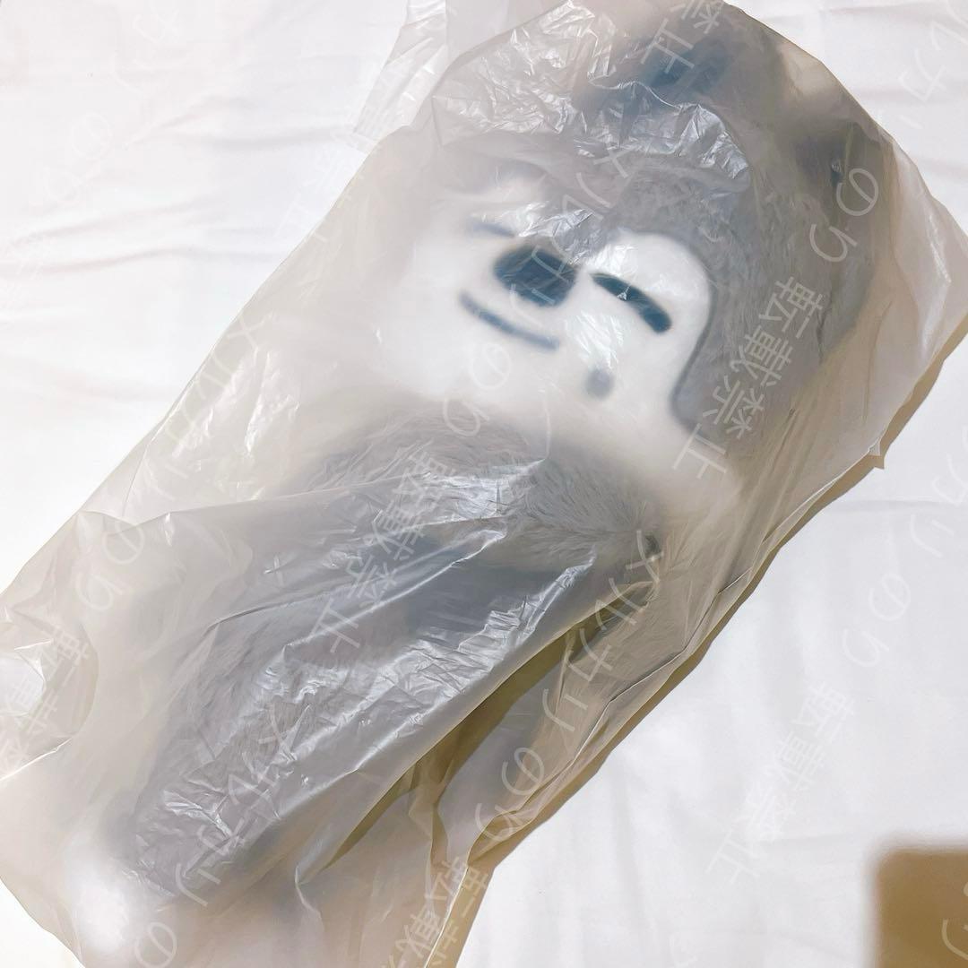 StrayKids dominATE アンコン ぬいぐるみ バッグ バンチャン