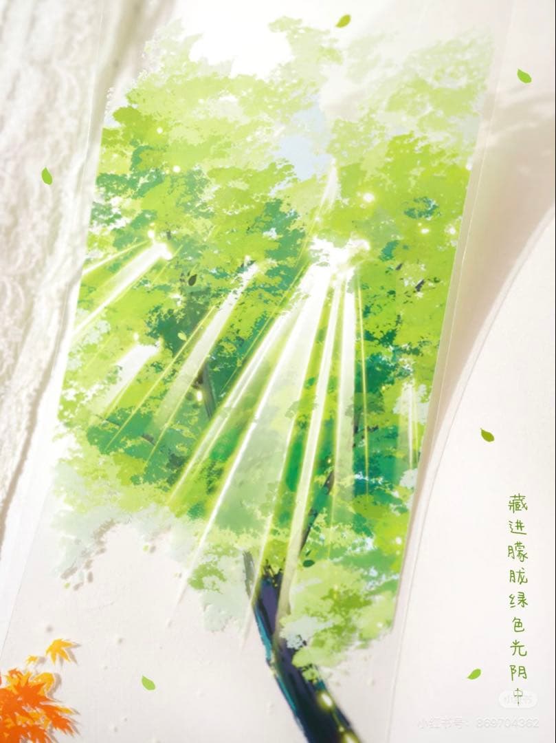 【9328】海外　マステ　5m巻　PETマスキングテープ　木影　四季　背景