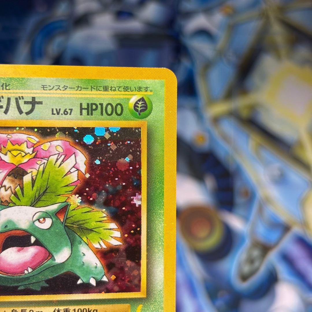 【全ホロ強】フシギバナ_「とりかえっこプリーズ」 キャンペーンカード