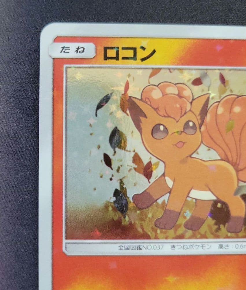 Rokon's Crystal Season スペシャルBOX 開封品　ポケカ