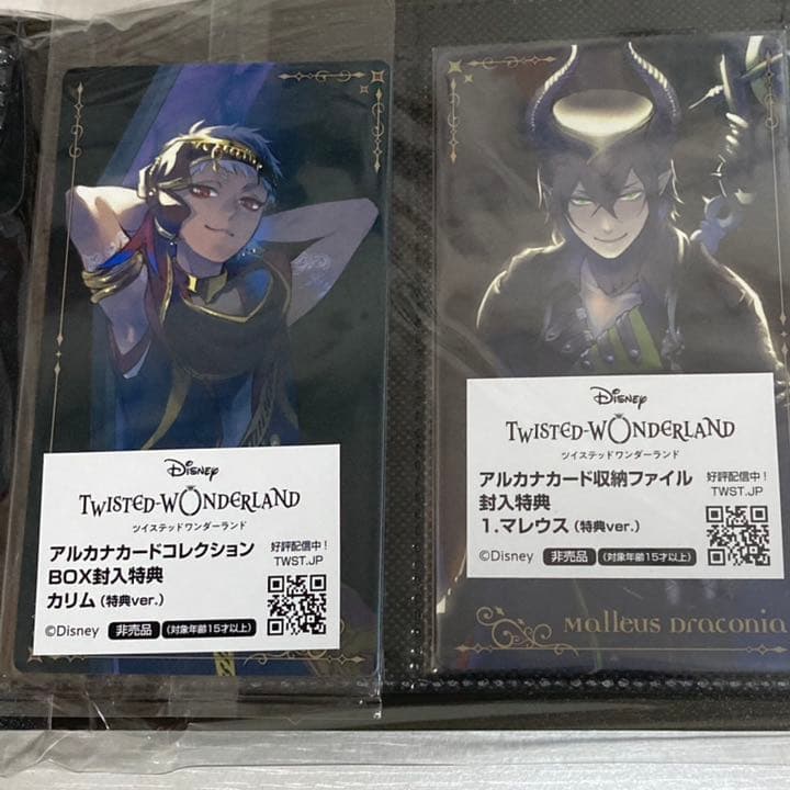 ツイステ アルカナカード＋収納ファイル